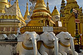 Yangon Myanmar. Shwedagon Pagoda (the Golden Stupa).  